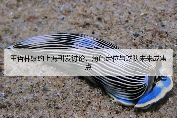 wang-zhe-lin-xu-yue-shang-hai-yin-fa-tao-lun-jue-se-ding-wei-yu-qiu-dui-wei-lai-cheng-jiao-dian-2-869.jpg